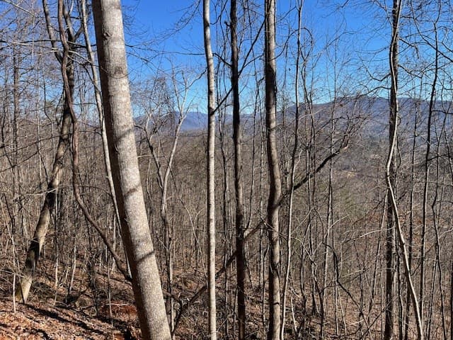 Lot 29 Hidden Summit Road, Hiawassee GA 30546 - Photo