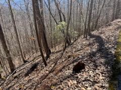 Lot 31 Hidden Summit Road, Hiawassee GA 30546 - Photo