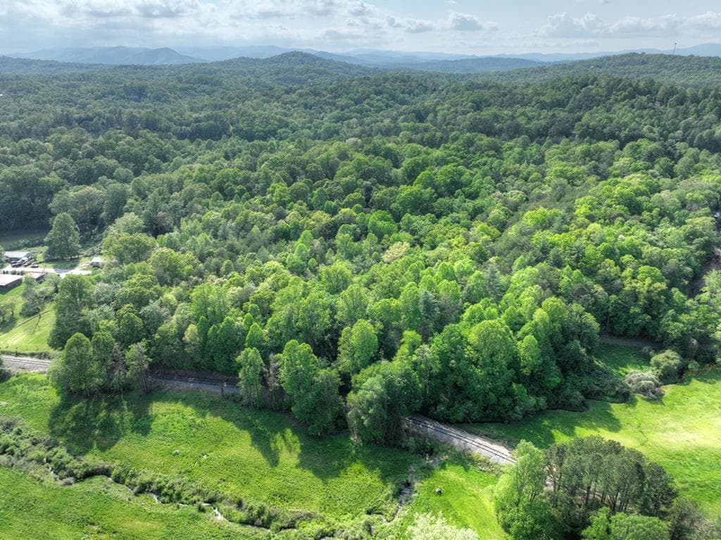 6.74 AC Doxol Street, Blue Ridge GA 30513 - Photo