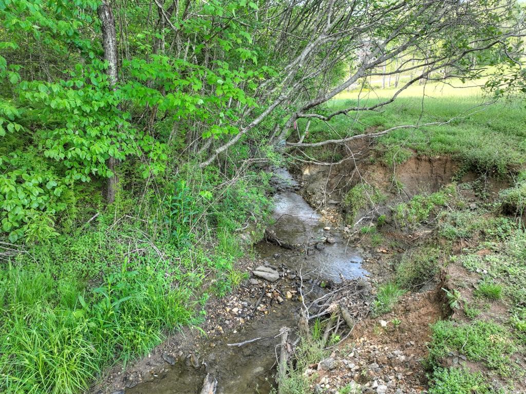 6.74 AC Doxol Street, Blue Ridge GA 30513 - Photo