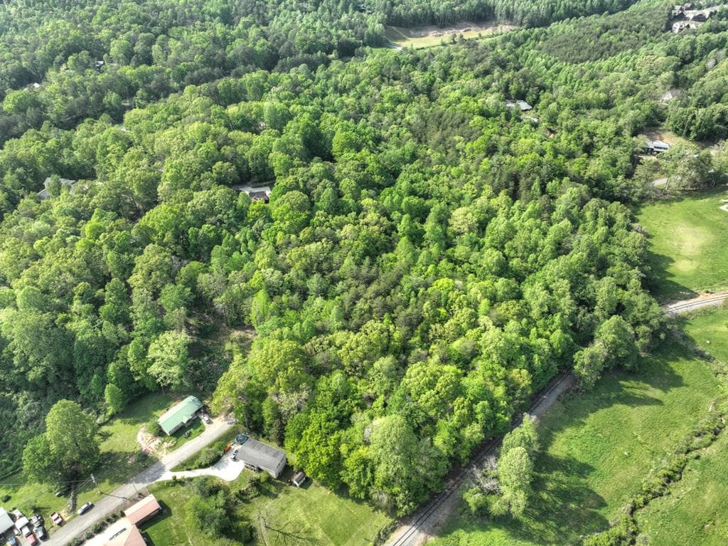 6.74 AC Doxol Street, Blue Ridge GA 30513 - Photo
