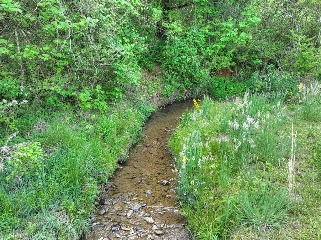 6.74 AC Doxol Street, Blue Ridge GA 30513 - Photo