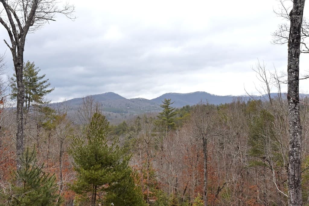 120 Aska Forest Trail, Blue Ridge GA 30513 - Photo
