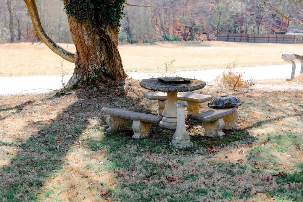 40 South Lucius Road, Cherry Log GA 30522 - Photo
