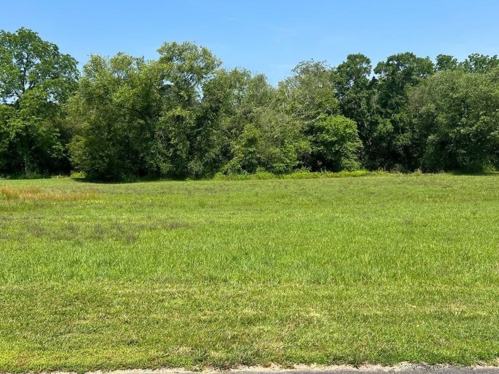 Lot 55 Brasstown Trails, Warne NC 28909 - Photo