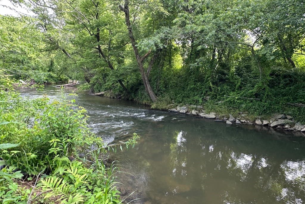Lot 55 Brasstown Trails, Warne NC 28909 - Photo