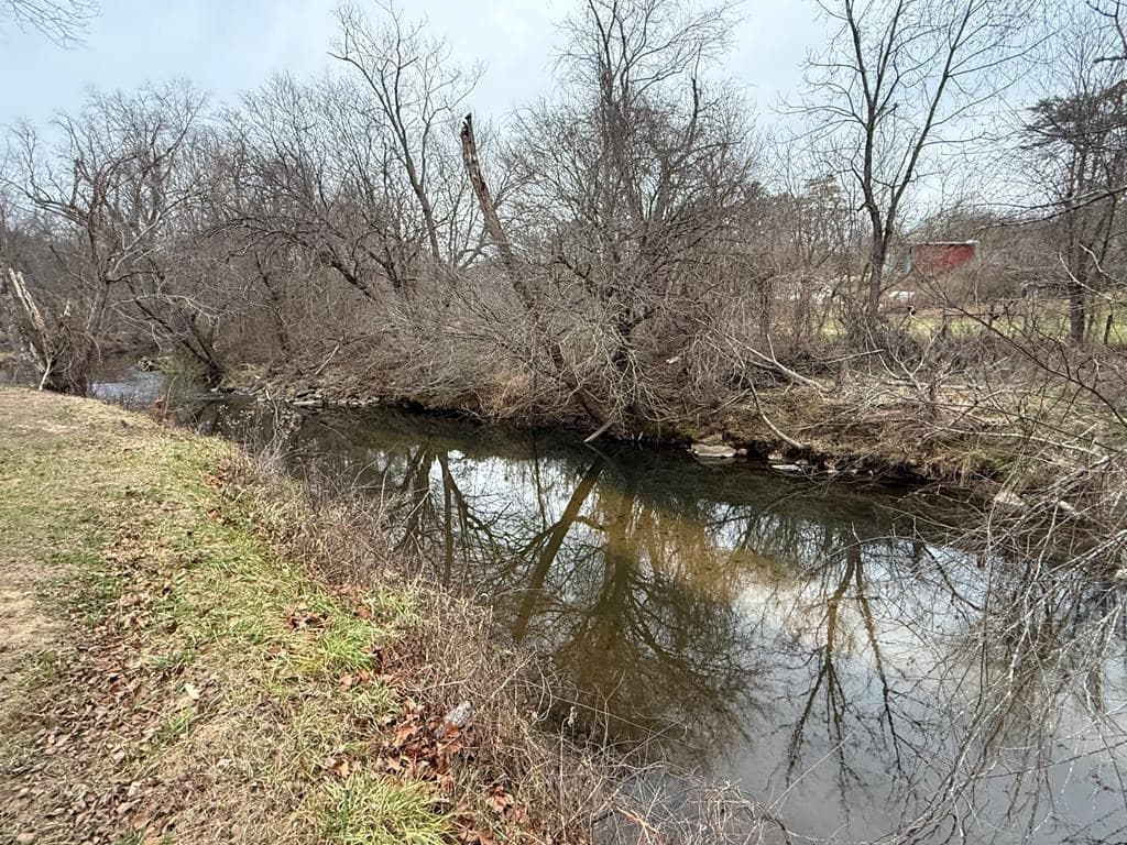 Lot 55 Brasstown Trails, Warne NC 28909 - Photo