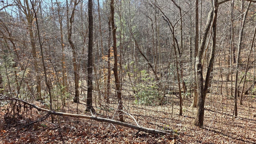Lt 11 Mountain Laurel Est., Young Harris GA 30582 - Photo