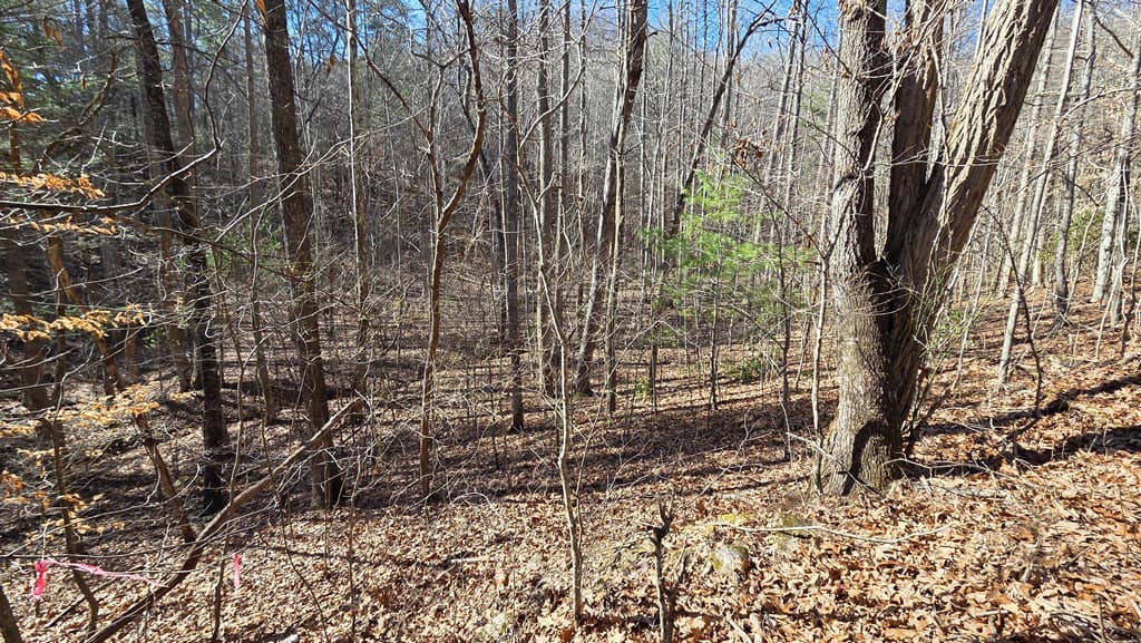 Lt 11 Mountain Laurel Est., Young Harris GA 30582 - Photo