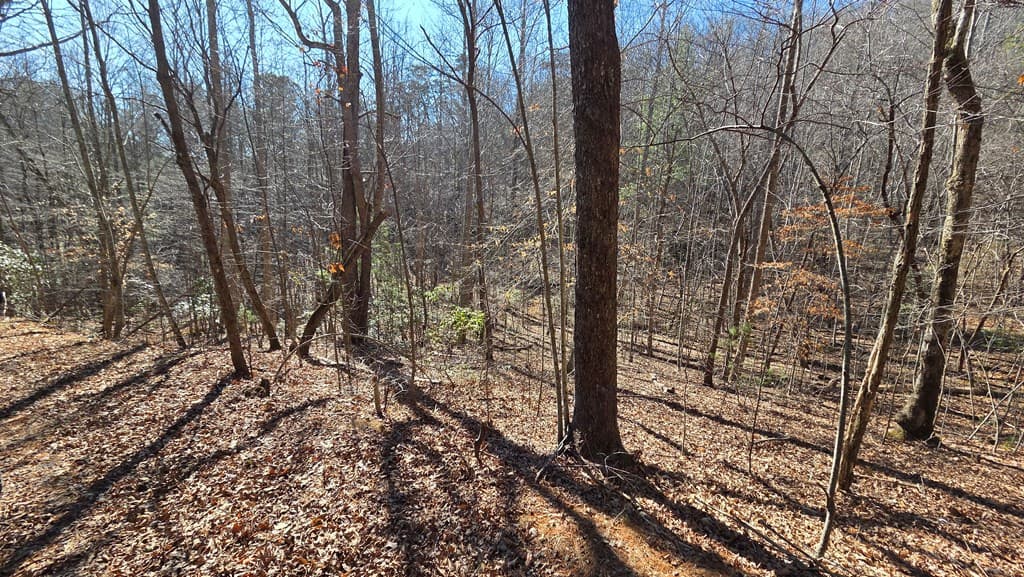 Lt 11 Mountain Laurel Est., Young Harris GA 30582 - Photo