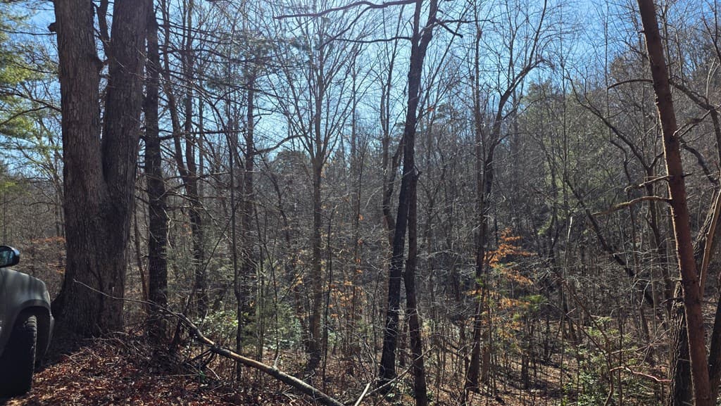 Lt 11 Mountain Laurel Est., Young Harris GA 30582 - Photo