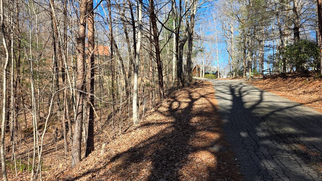 Lt 11 Mountain Laurel Est., Young Harris GA 30582 - Photo