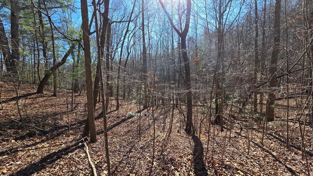 Lt 11 Mountain Laurel Est., Young Harris GA 30582 - Photo