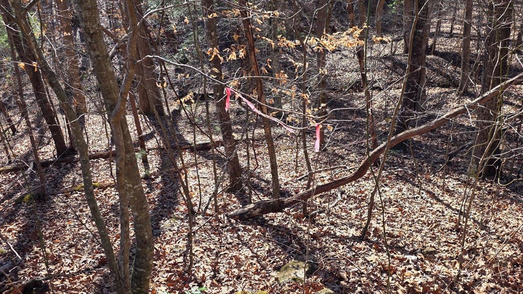 Lt 11 Mountain Laurel Est., Young Harris GA 30582 - Photo