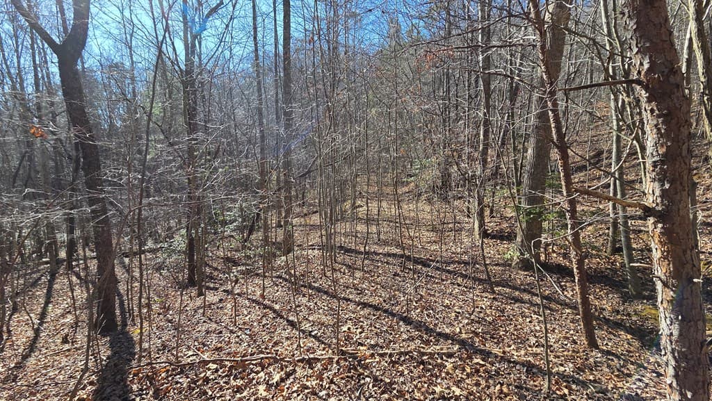 Lt 11 Mountain Laurel Est., Young Harris GA 30582 - Photo