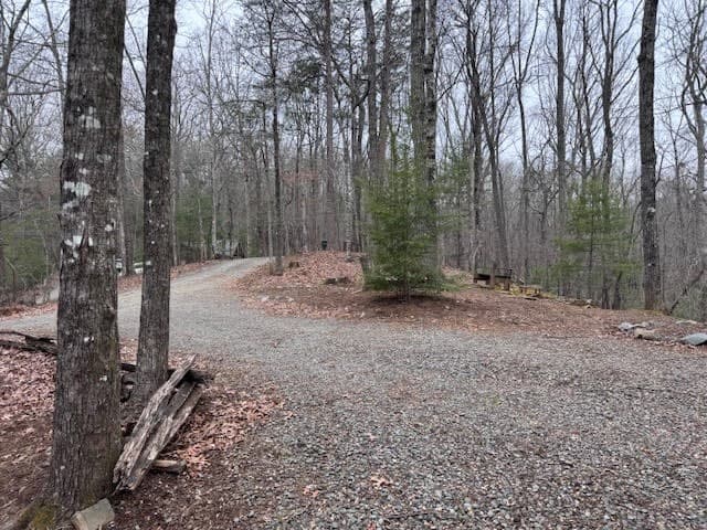 726 Cherry Lake Drive, Cherry Log GA 30522 - Photo