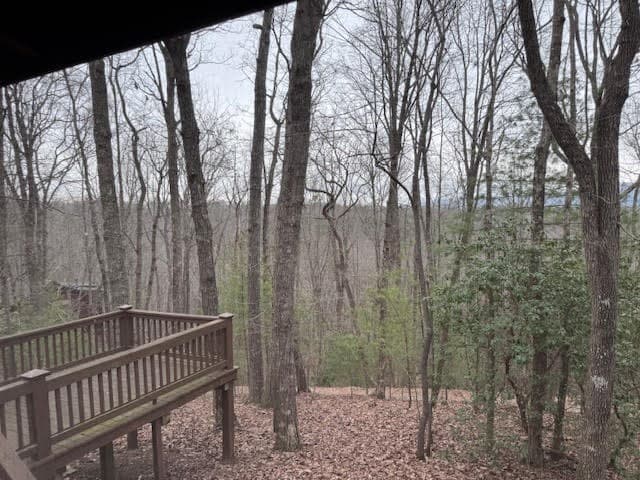 726 Cherry Lake Drive, Cherry Log GA 30522 - Photo