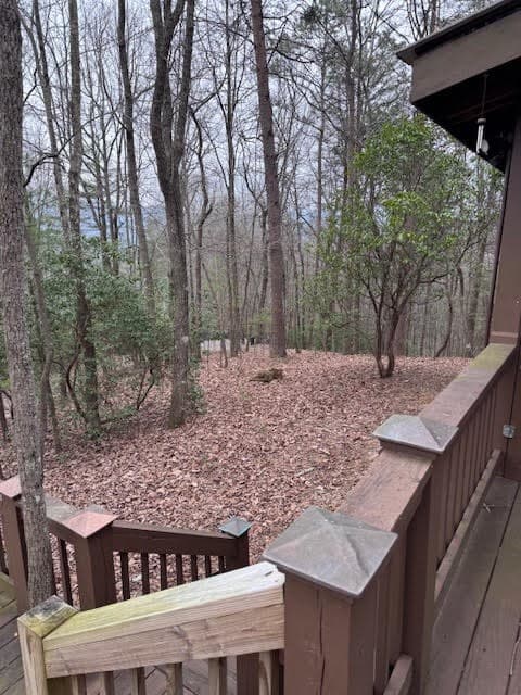 726 Cherry Lake Drive, Cherry Log GA 30522 - Photo