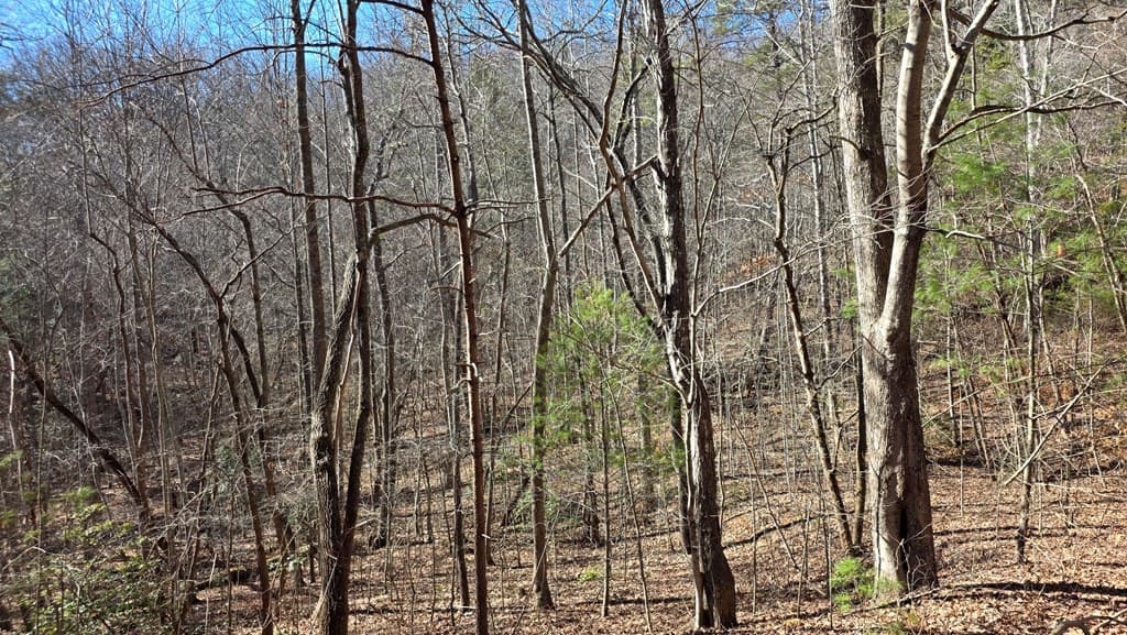 Lt 12 Mountain Laurel Est., Young Harris GA 30582 - Photo
