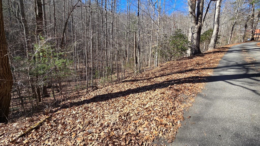 Lt 12 Mountain Laurel Est., Young Harris GA 30582 - Photo