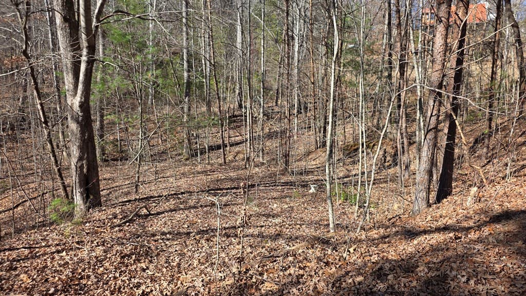 Lt 12 Mountain Laurel Est., Young Harris GA 30582 - Photo