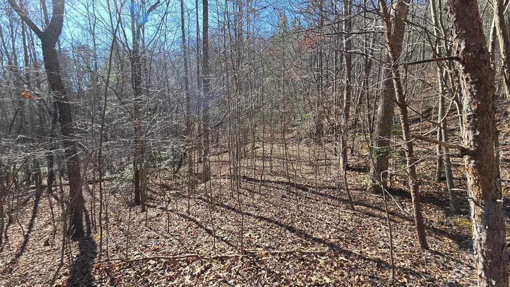 Lt 12 Mountain Laurel Est., Young Harris GA 30582 - Primary photo