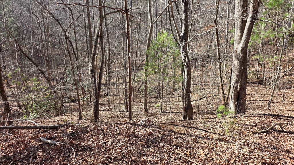Lt 12 Mountain Laurel Est., Young Harris GA 30582 - Photo