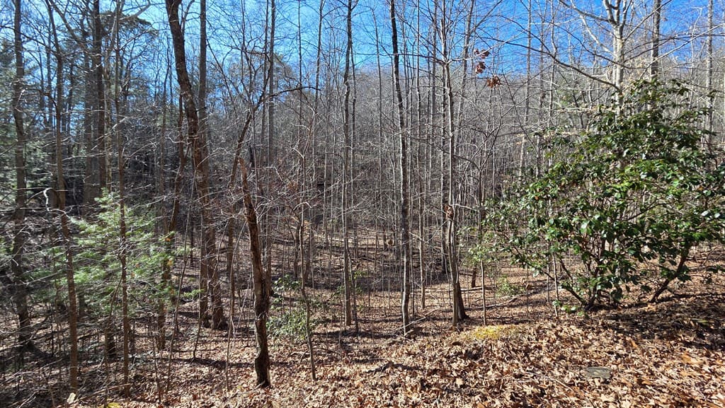 Lt 12 Mountain Laurel Est., Young Harris GA 30582 - Photo