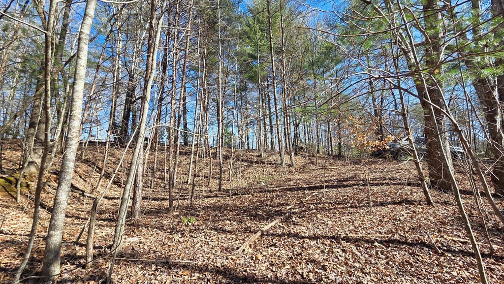 Lt 12 Mountain Laurel Est., Young Harris GA 30582 - Photo