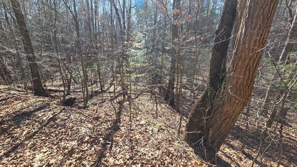 Lt 12 Mountain Laurel Est., Young Harris GA 30582 - Photo