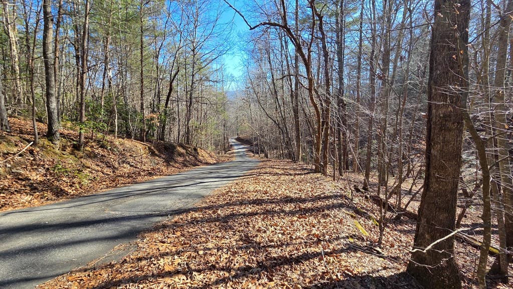 Lt 12 Mountain Laurel Est., Young Harris GA 30582 - Photo
