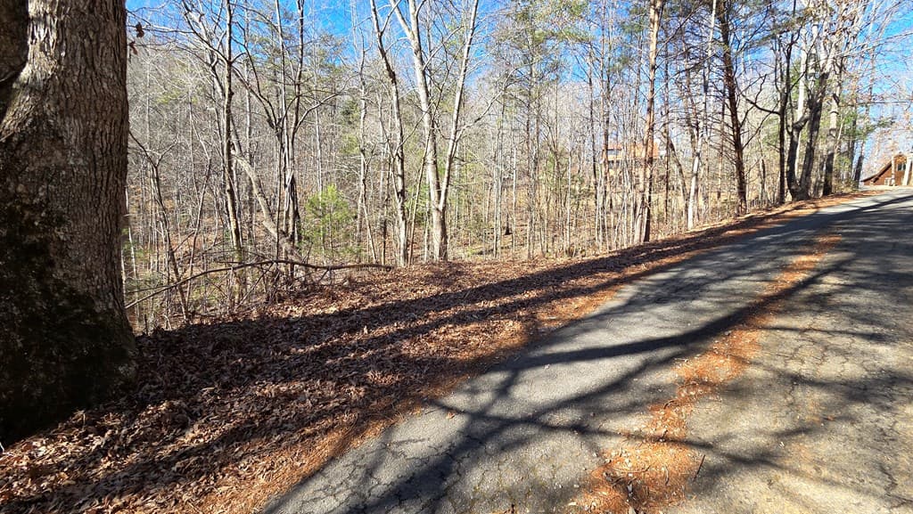 Lt 12 Mountain Laurel Est., Young Harris GA 30582 - Photo
