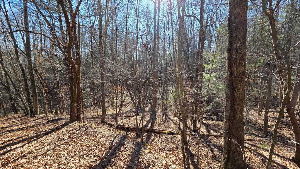 Lt 12 Mountain Laurel Est., Young Harris GA 30582 - Photo