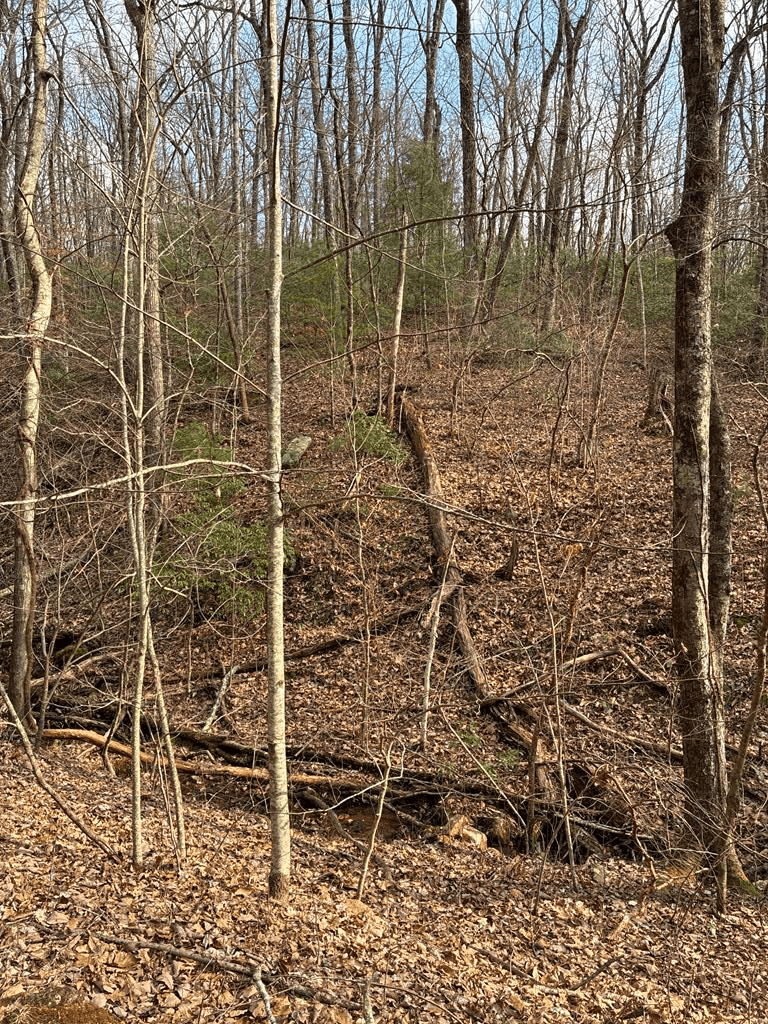 Lt 29A/B Paradise Lane, Ellijay GA 30540 - Photo