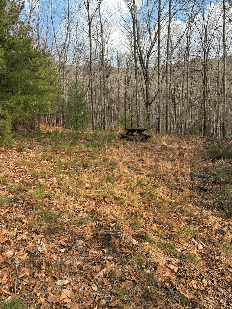 Lt 29A/B Paradise Lane, Ellijay GA 30540 - Photo