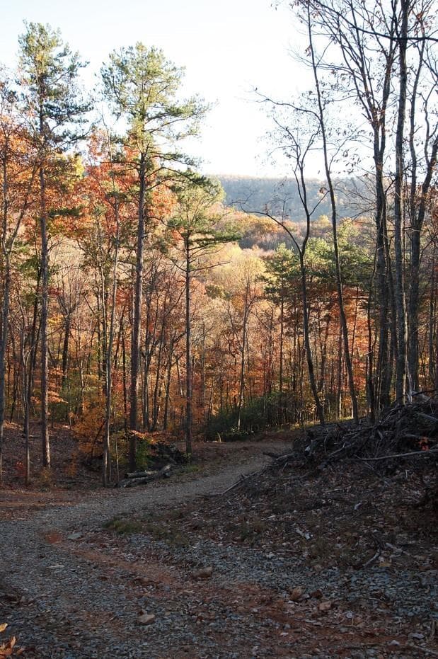 Lt 29A/B Paradise Lane, Ellijay GA 30540 - Primary photo
