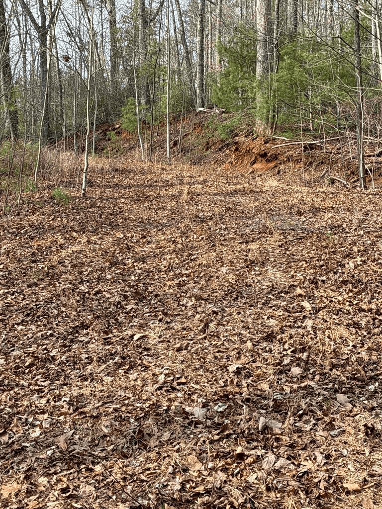 Lt 29A/B Paradise Lane, Ellijay GA 30540 - Photo