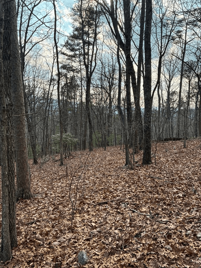 Lt 29A/B Paradise Lane, Ellijay GA 30540 - Photo