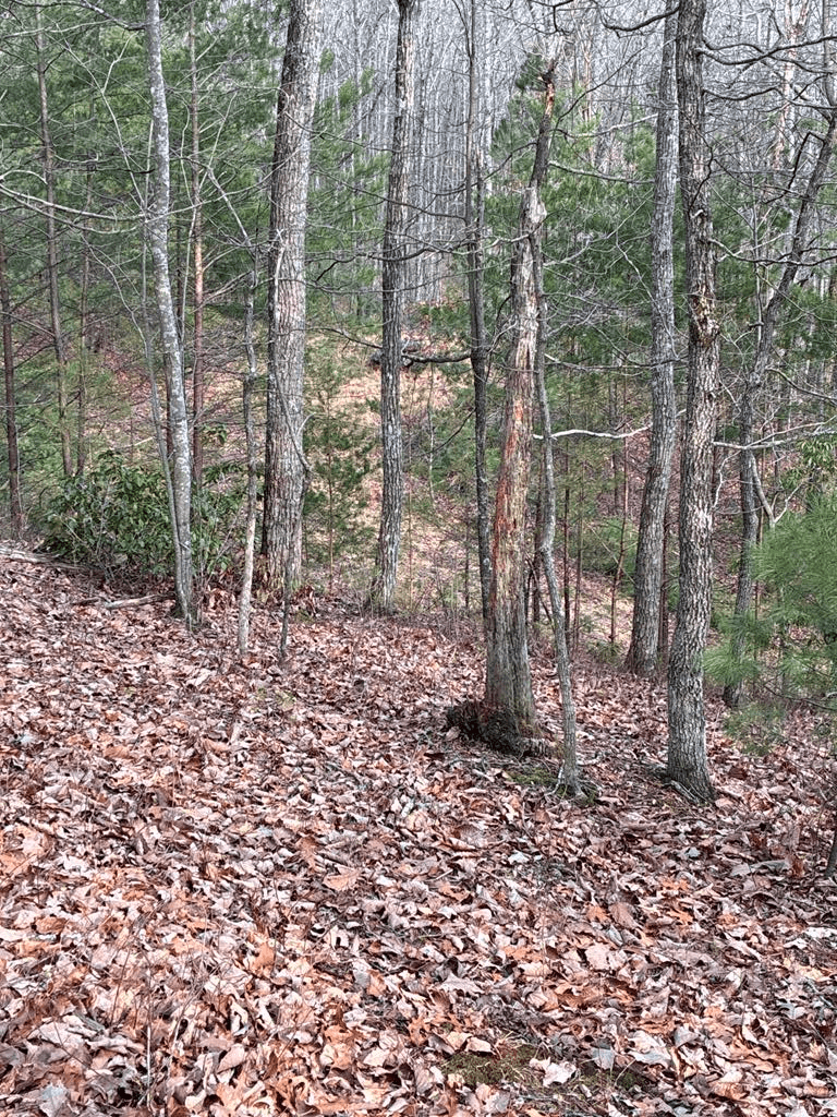 Lt 29A/B Paradise Lane, Ellijay GA 30540 - Photo