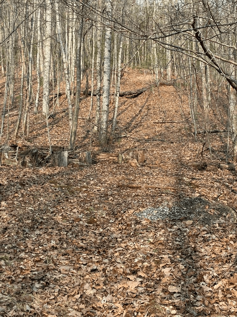 Lt 29A/B Paradise Lane, Ellijay GA 30540 - Photo