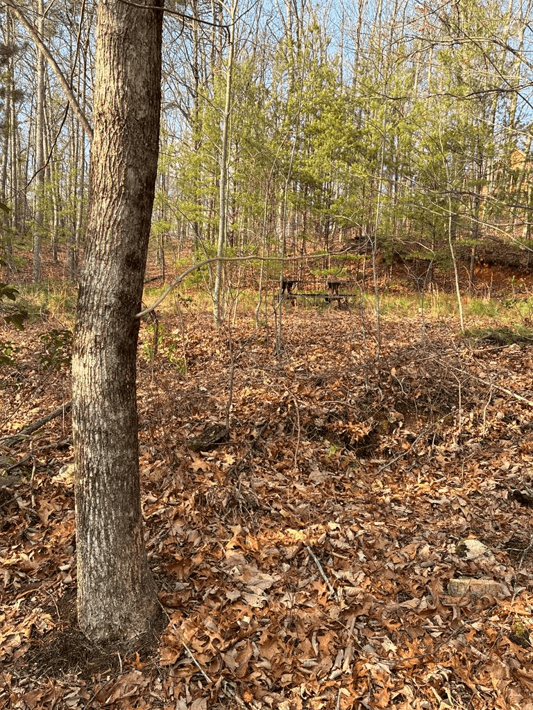 Lt 29A/B Paradise Lane, Ellijay GA 30540 - Photo