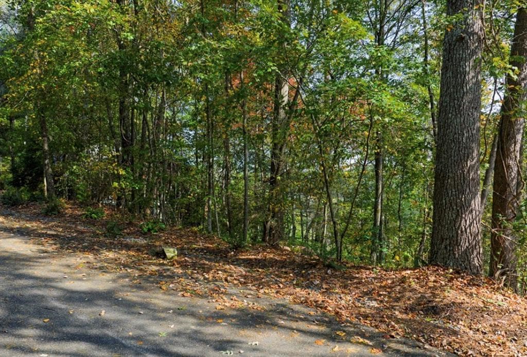 L81 Lillie Drive, Ellijay GA 30540 - Photo