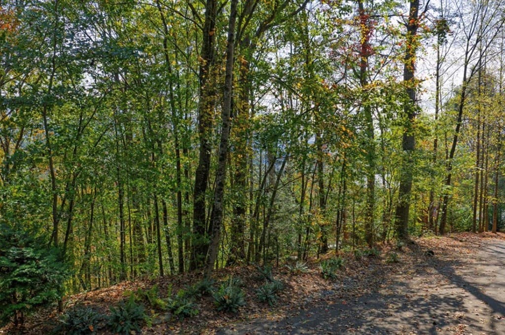 L81 Lillie Drive, Ellijay GA 30540 - Photo