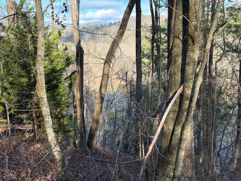 L81 Lillie Drive, Ellijay GA 30540 - Photo