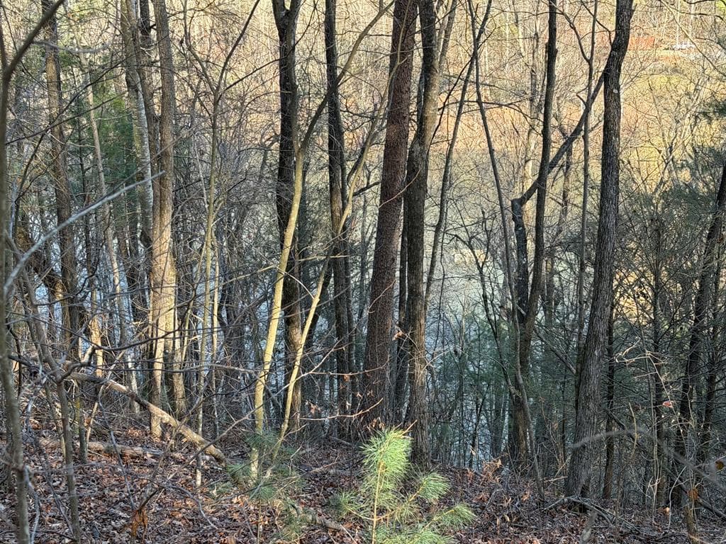L81 Lillie Drive, Ellijay GA 30540 - Photo