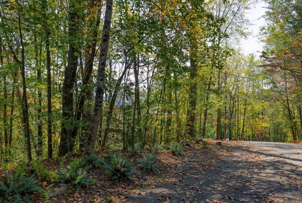 L81 Lillie Drive, Ellijay GA 30540 - Photo
