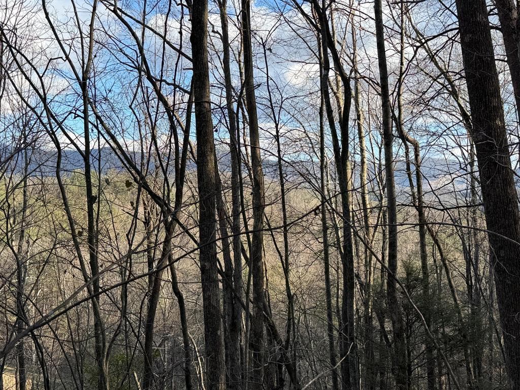 L81 Lillie Drive, Ellijay GA 30540 - Photo