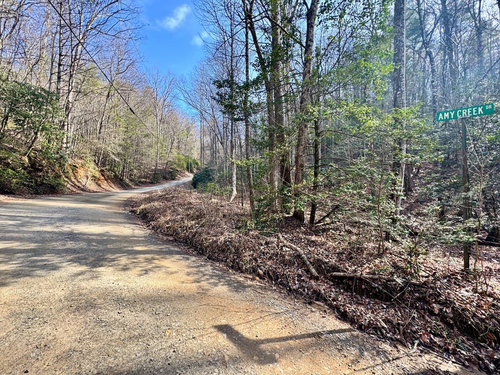L53 Amy Creek Circle, Ellijay GA 30540 - Photo