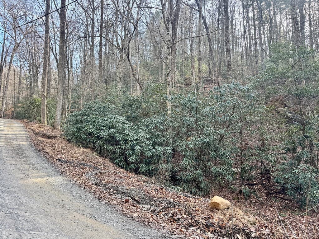 L53 Amy Creek Circle, Ellijay GA 30540 - Photo