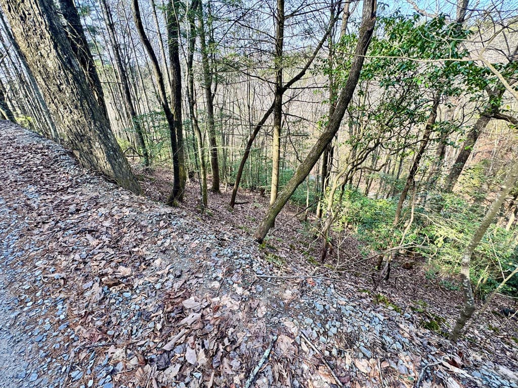 L53 Amy Creek Circle, Ellijay GA 30540 - Photo